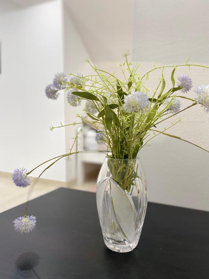 Apartma Azurre Postojna Exteriör bild